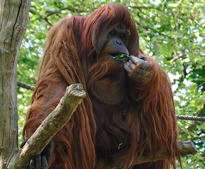 50 Intriguing “Today I Learned” Facts That You Probably Didn’t Learn In School (New Facts)