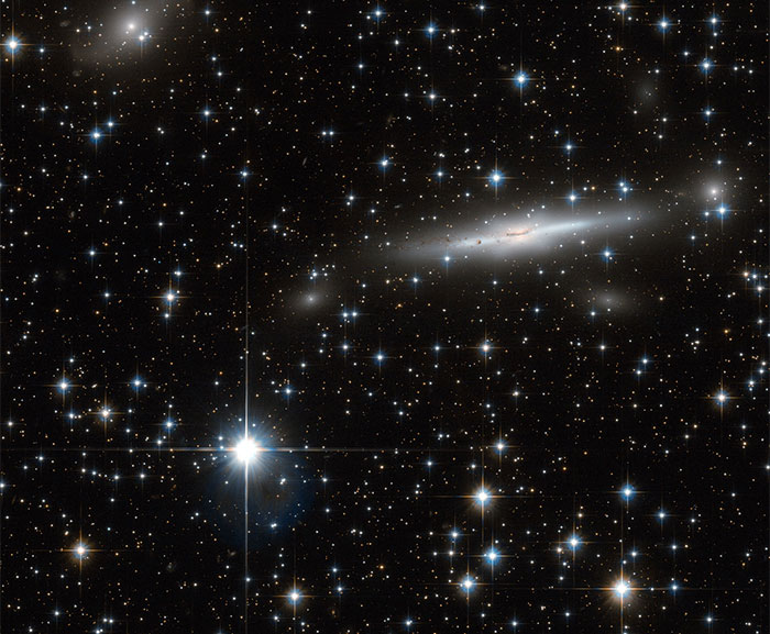 50 Intriguing “Today I Learned” Facts That You Probably Didn’t Learn In School (New Facts)