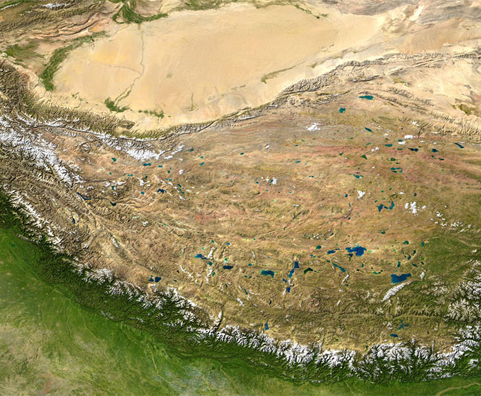 50 Intriguing “Today I Learned” Facts That You Probably Didn’t Learn In School (New Facts)