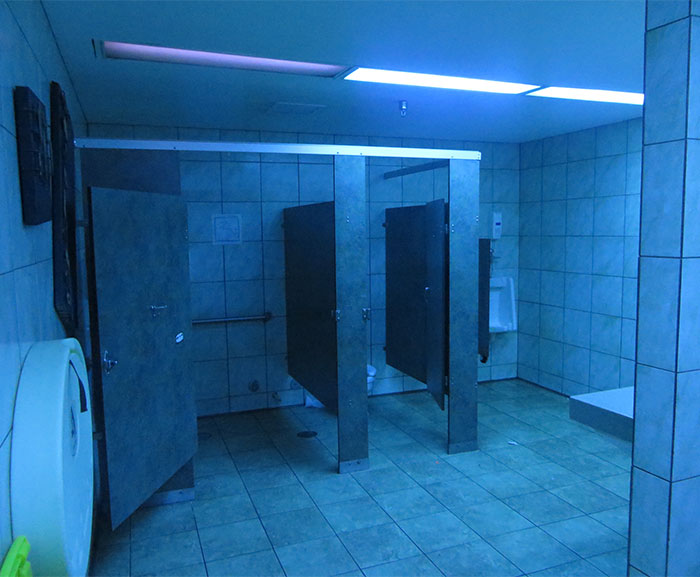 50 Intriguing “Today I Learned” Facts That You Probably Didn’t Learn In School (New Facts)