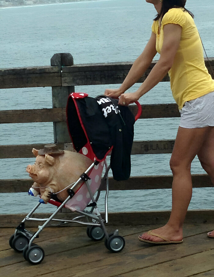 My Girlfriend Is Vacationing In San Diego And She Sent Me This Picture Today