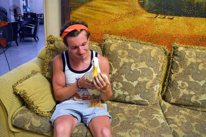 So As Part Of The Deal When I Was Buying A Motorbike In Vietnam, I Was Given A Free Duck. He Traveled On The Back Of My Bike For Around 1750 Km In Total From Ho Chi Minh City To Hanoi