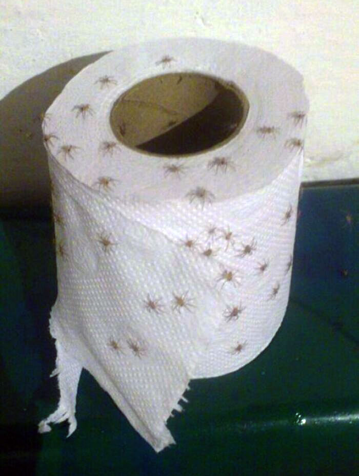 My Friend Traveled To India. She Posted A Photo This Morning With The Caption "It's Going Well"