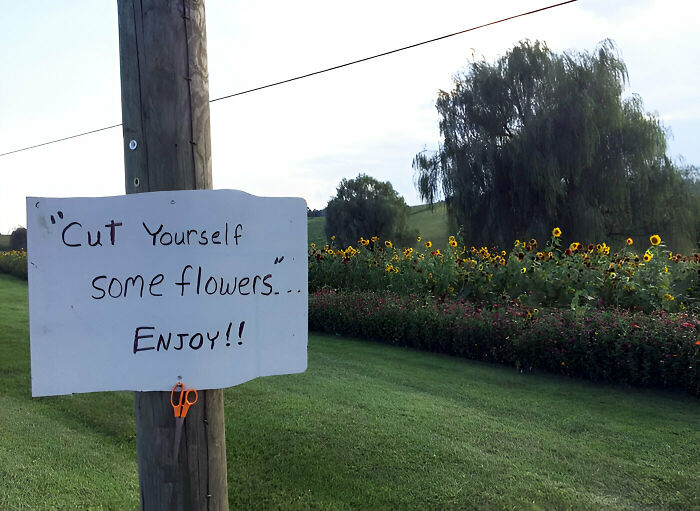 Traveling Through Some Back Roads In My College Town And Came Across This. The Generosity Made My Day