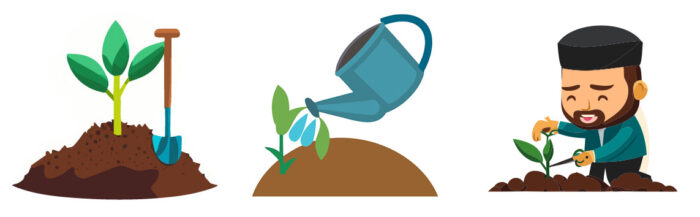 Illustrated maintenance of the plants