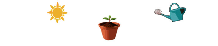 illustrated pot with cuttings, sun and watering can