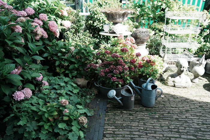 Two water cans near the bushes in the yard