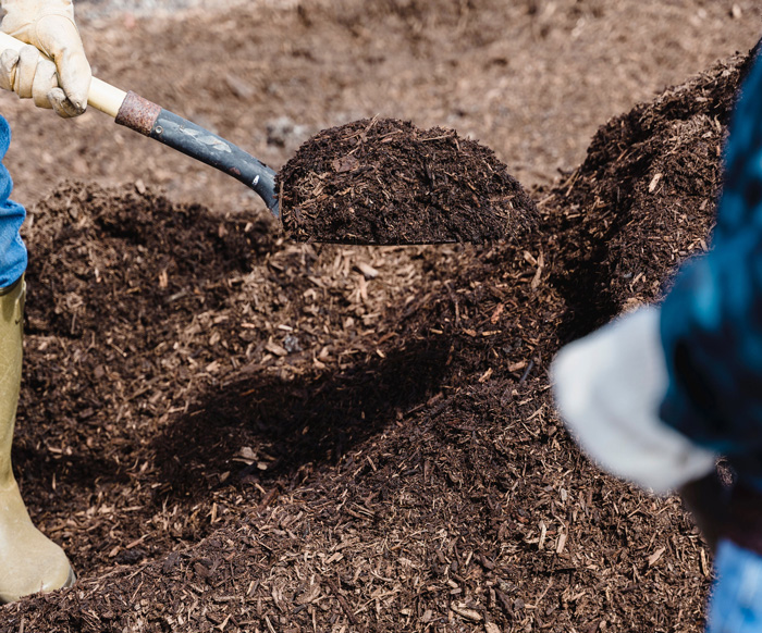 a person shoveling the soil
