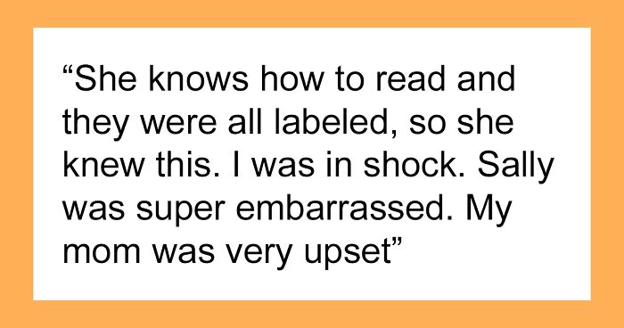 “AITA For Suggesting We Lock Up The Christmas Presents After What My Niece Did Last Year?”
