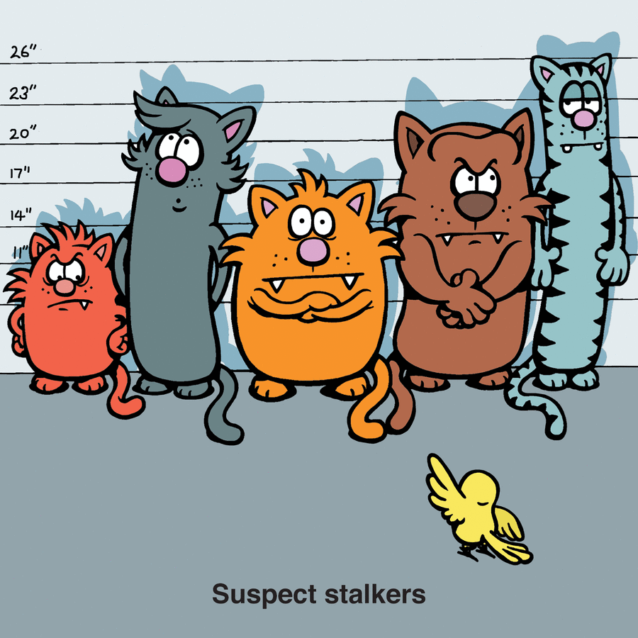Cartoon cats lineup with measuring lines behind them, illustrating the nature of cats in a humorous comic style.