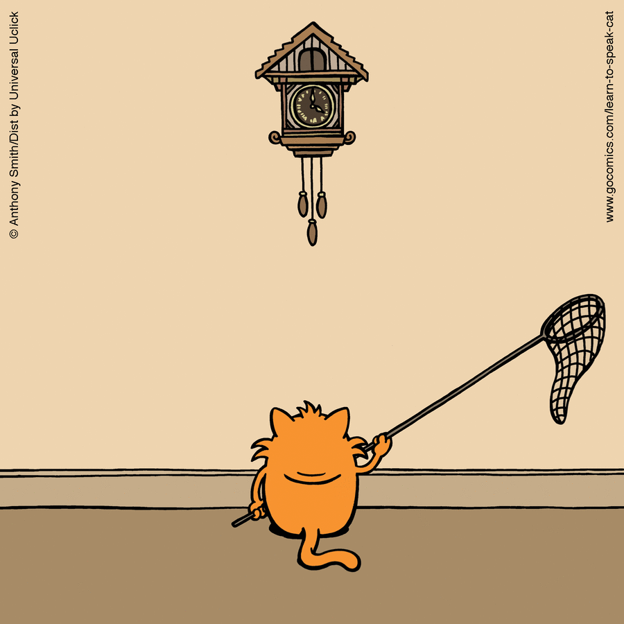 Cartoon of an orange cat with a net trying to catch a cuckoo clock bird in a comic about the nature of cats.