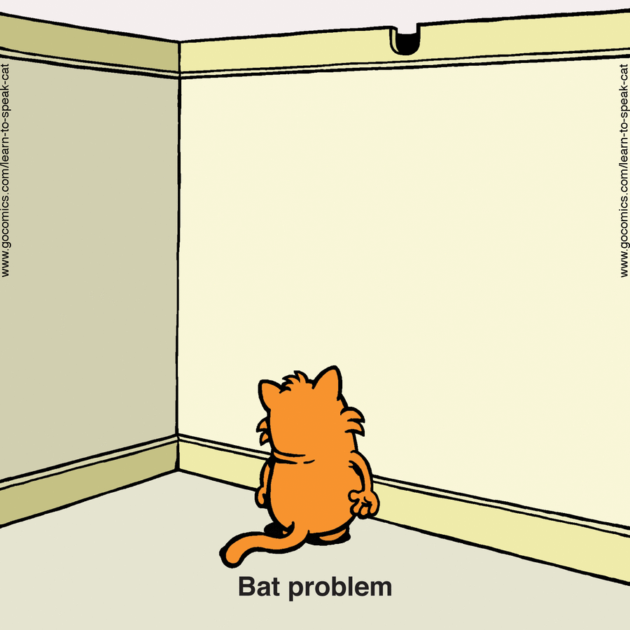 Orange cat sitting in a corner facing walls, illustrating the nature of cats and their quirky behavior in comics.