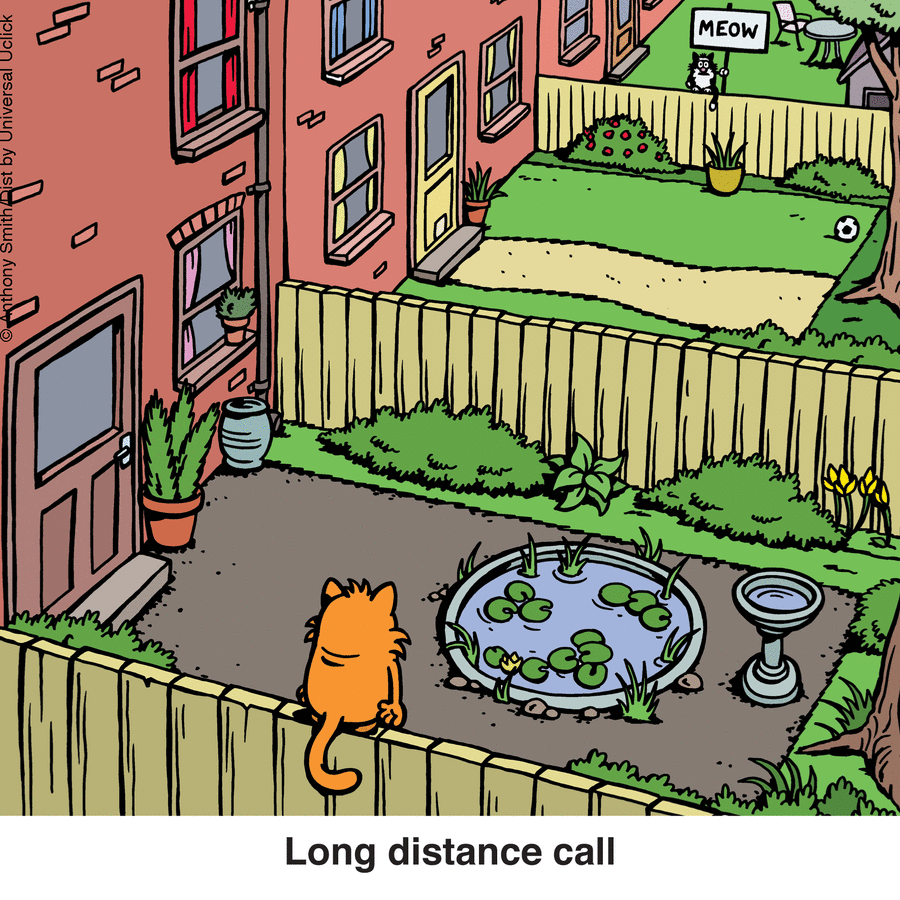 Cartoon shows two cats in neighboring yards with one cat holding a sign saying MEOW, illustrating nature of cats.