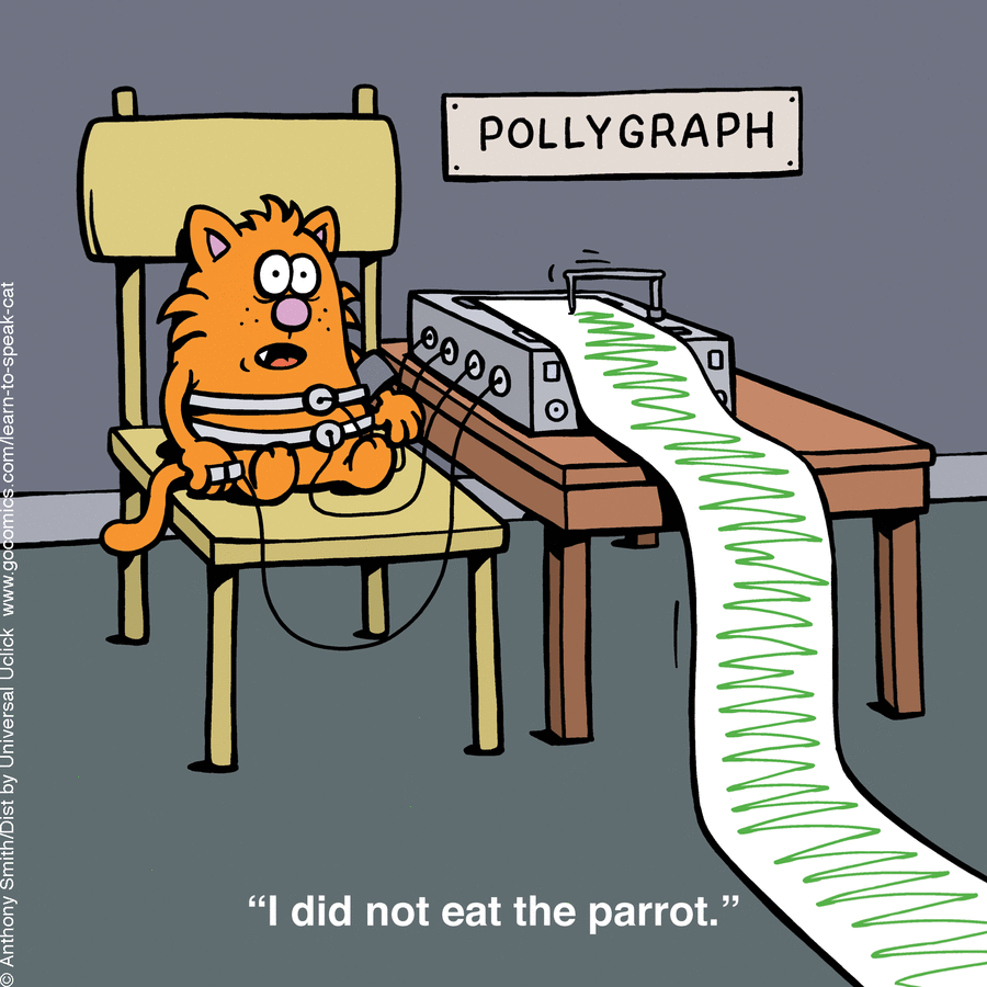 Cartoon cat tied to a polygraph machine, nervously claiming innocence, illustrating the nature of cats humorously.