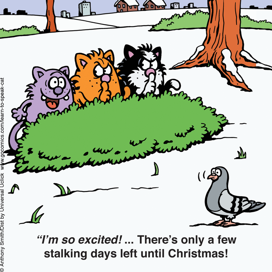 Anthony Smith Shows The Secret Life Of Cats In A Very Fun Way (50 Photos)