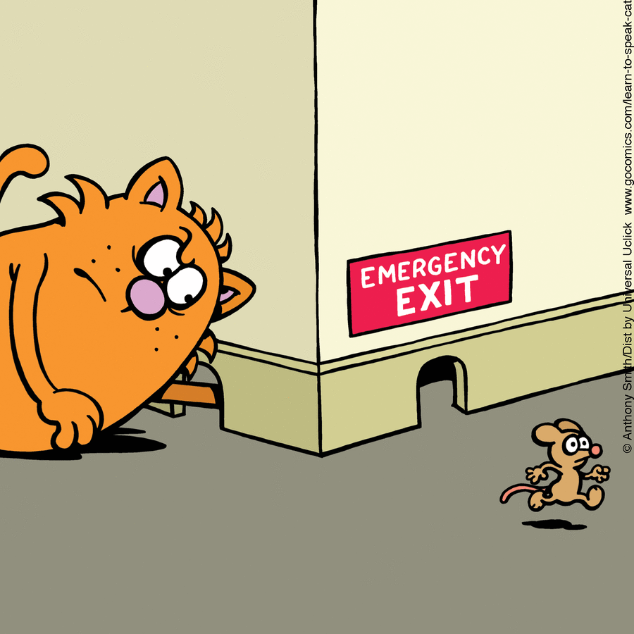 Cartoon cat watching a mouse escaping through a small emergency exit, illustrating the nature of cats in comics.