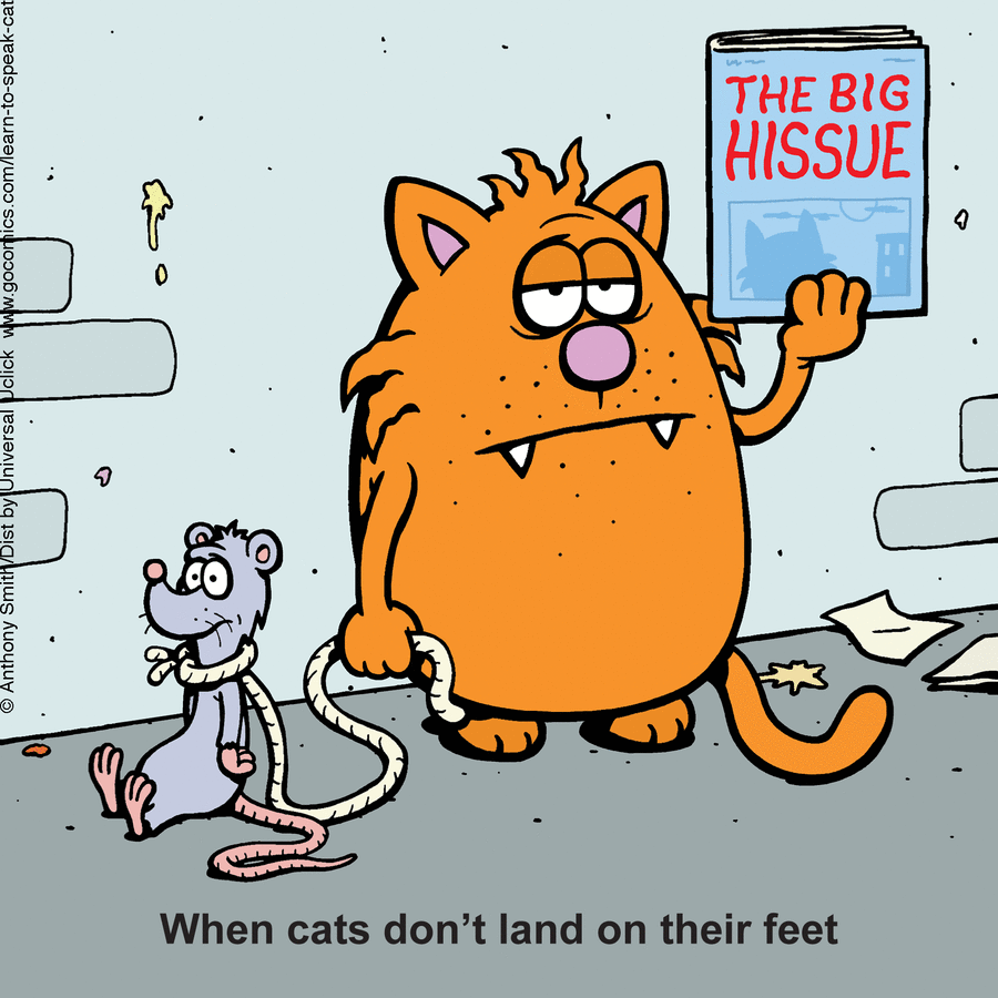 Anthony Smith Shows The Secret Life Of Cats In A Very Fun Way (50 Photos)