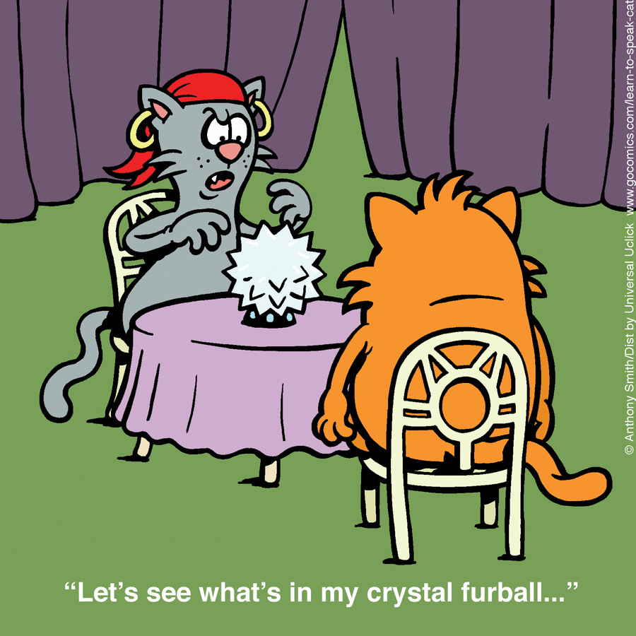 Anthony Smith Shows The Secret Life Of Cats In A Very Fun Way (50 Photos)