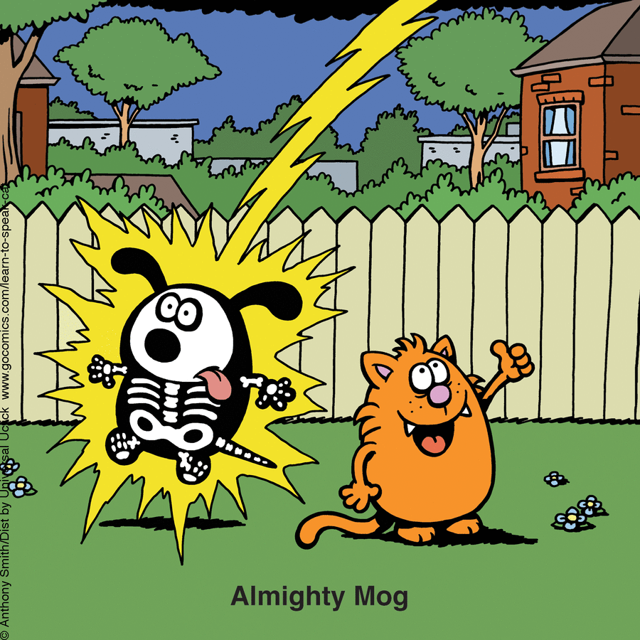 Anthony Smith Shows The Secret Life Of Cats In A Very Fun Way (50 Photos)