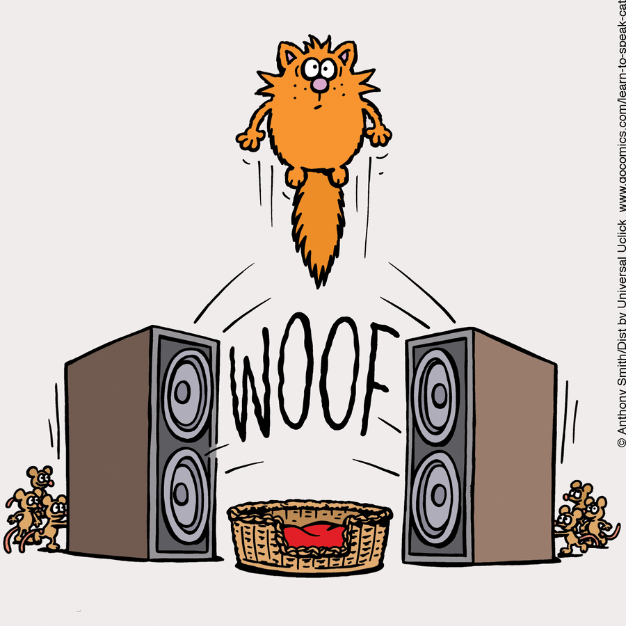 Cartoon cat jumping between speakers with sound effect woof and mice watching, depicting nature of cats.