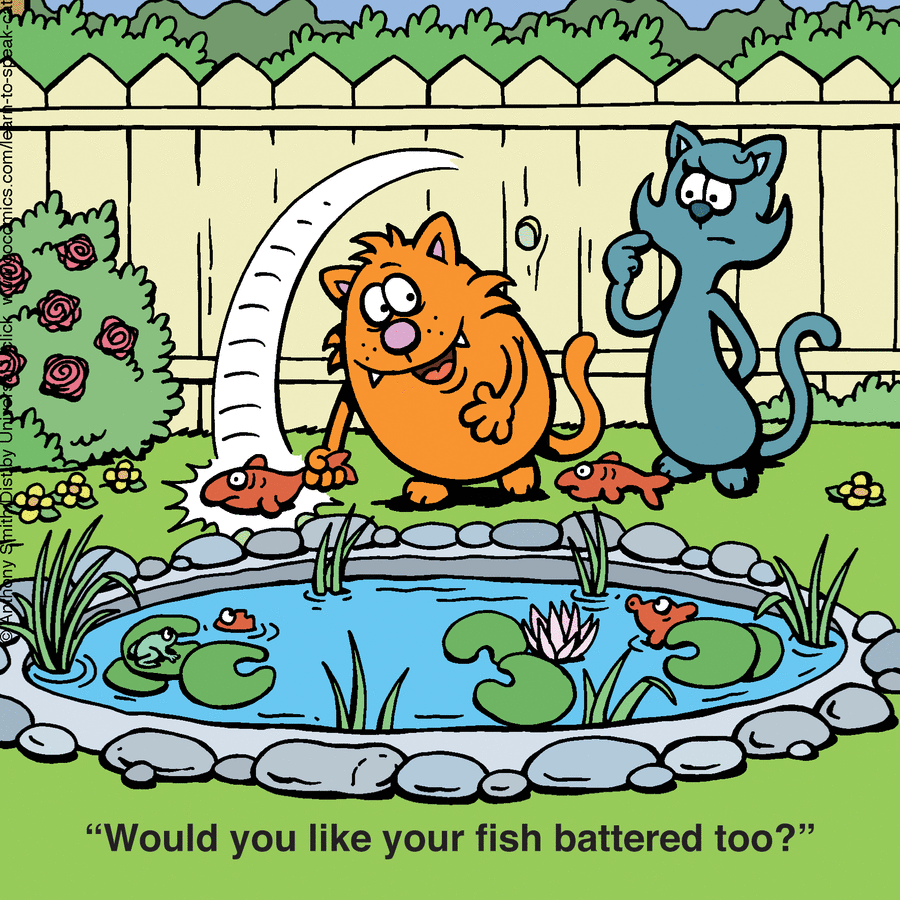 Anthony Smith Shows The Secret Life Of Cats In A Very Fun Way (50 Photos)