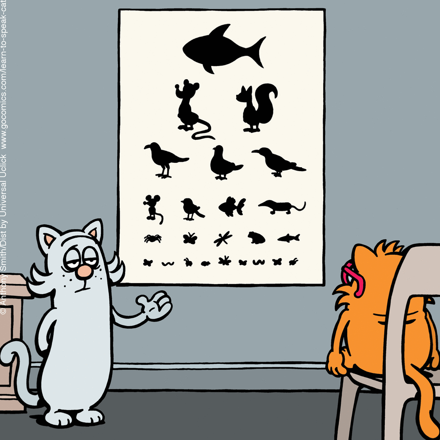Cartoon cats in a comic scene studying animal shapes on a wall chart, illustrating the nature of cats humorously.