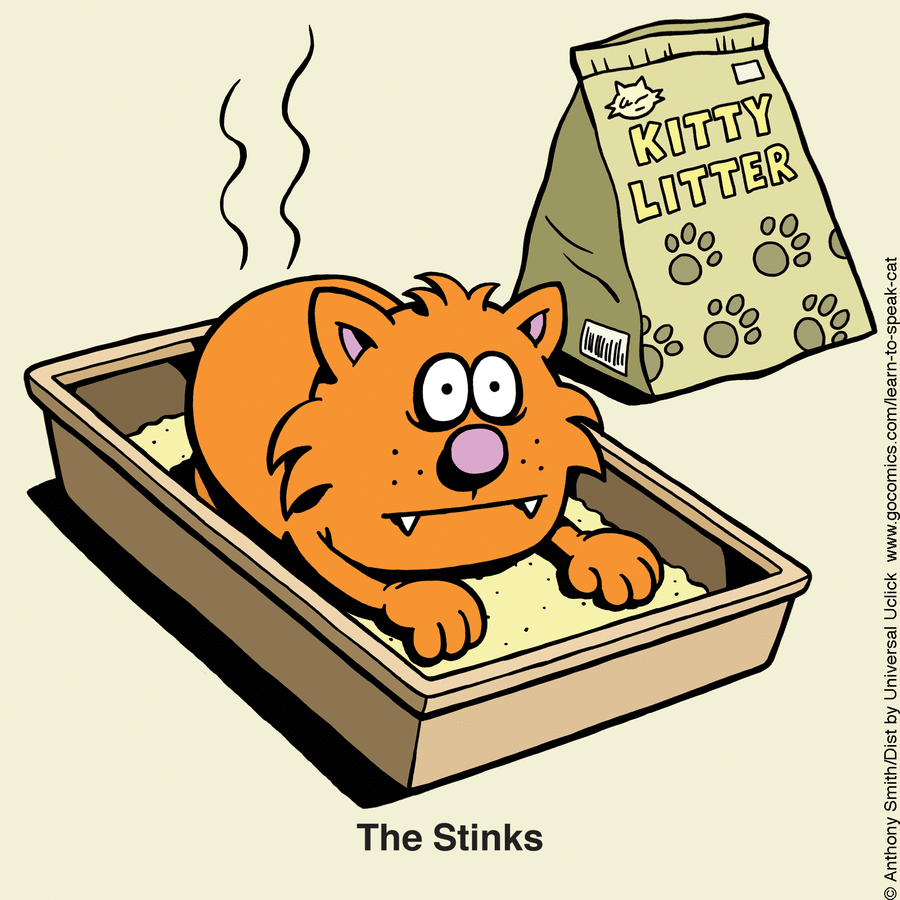 Anthony Smith Shows The Secret Life Of Cats In A Very Fun Way (50 Photos)