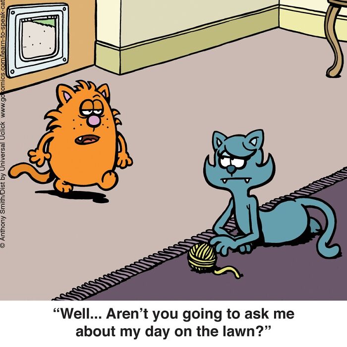 Anthony Smith Shows The Secret Life Of Cats In A Very Fun Way (50 Photos)