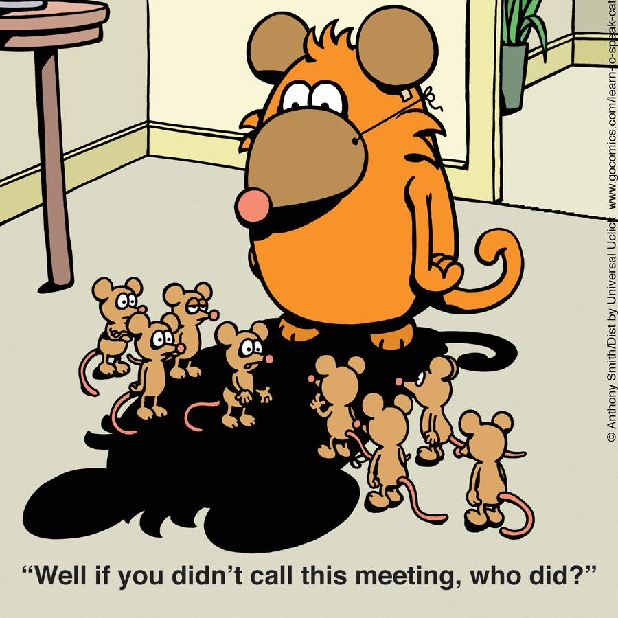Cartoon cat with mice gathered around its shadow in a comic illustrating the nature of cats and their behavior.