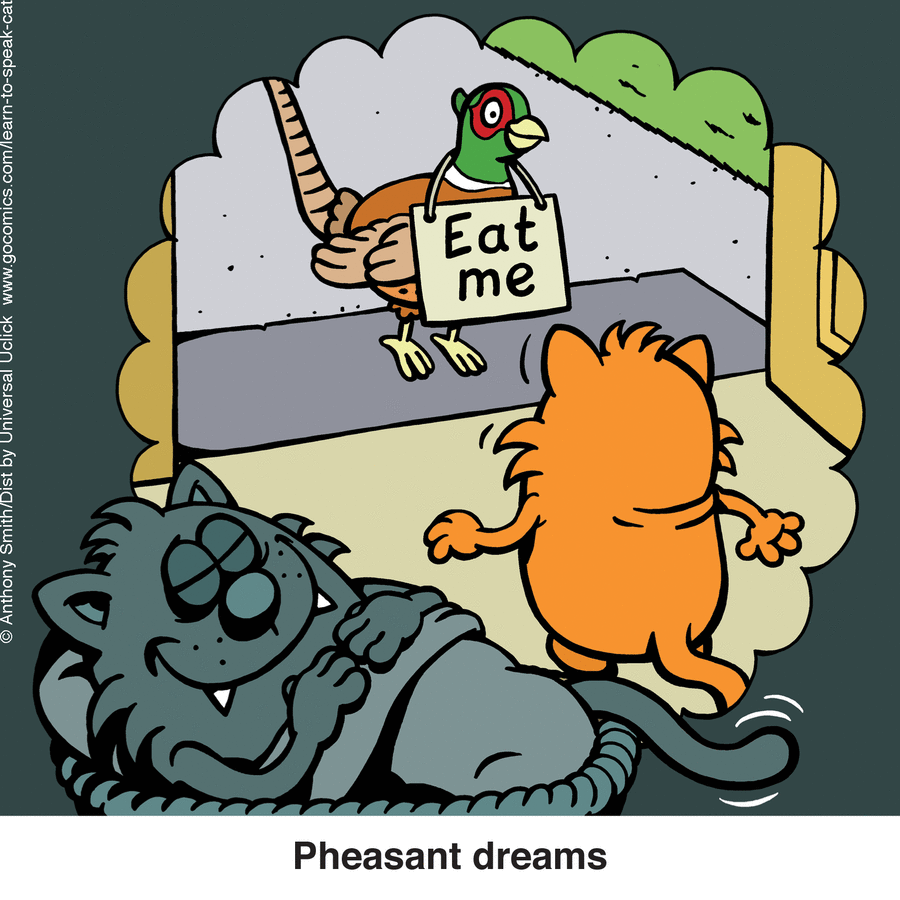 Cartoon cat and a bird with an eat me sign, capturing the nature of cats in a humorous comic style.