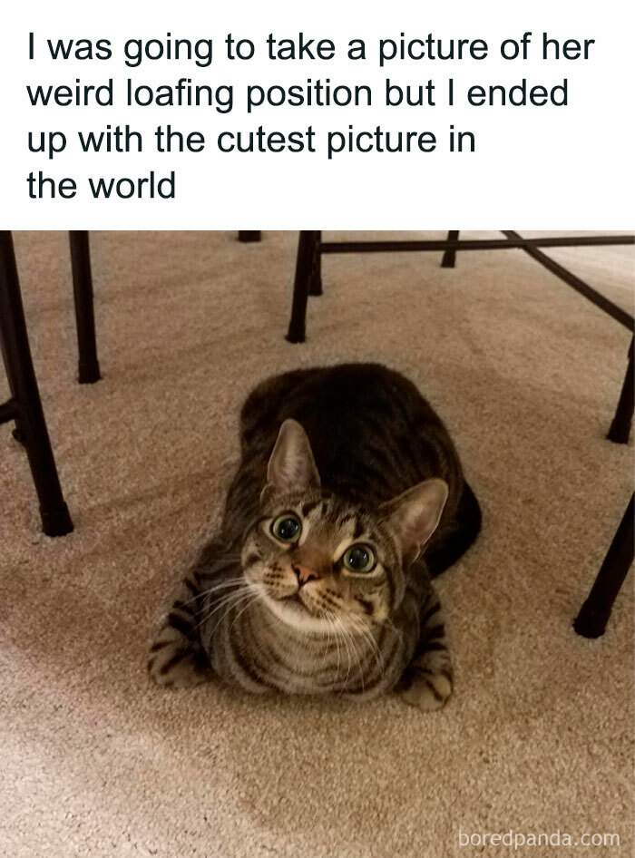 When You Try To Take A Picture