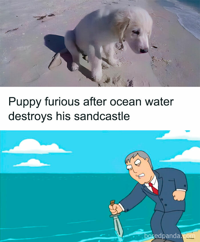 I Don't Like The Ocean Anymore