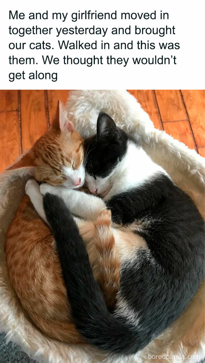 Wholesome Moved In Together