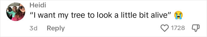 'Beige' Mom Shares She Repainted Her Toddler's Christmas Tree, Gets Roasted In The Comments