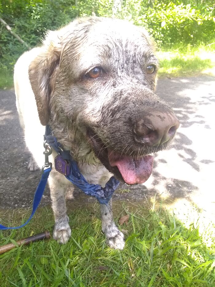 Wearing A Pretty Scarf To To Play In The Mud