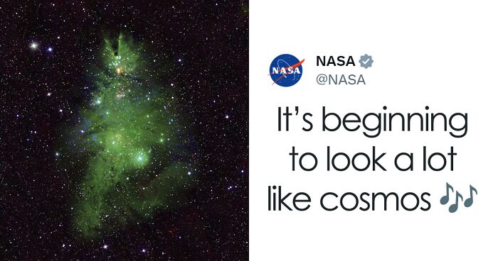 NASA Finds Cluster Of Young Stars That Looks Exactly Like A “Cosmic Christmas Tree”