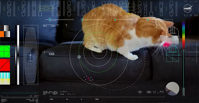NASA Employee's Cat Stars In First Clip Transmitted To Earth By Laser 19 Million Miles Away