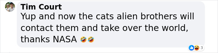 NASA Employee's Cat Stars In First Clip Transmitted To Earth By Laser 19 Million Miles Away