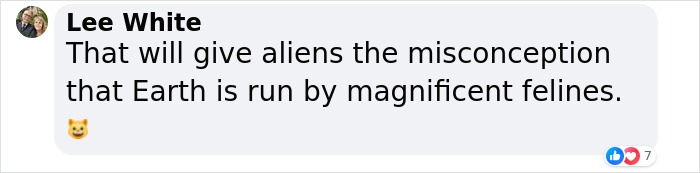 NASA Employee's Cat Stars In First Clip Transmitted To Earth By Laser 19 Million Miles Away