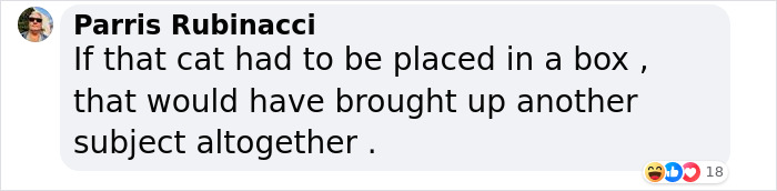 NASA Employee's Cat Stars In First Clip Transmitted To Earth By Laser 19 Million Miles Away