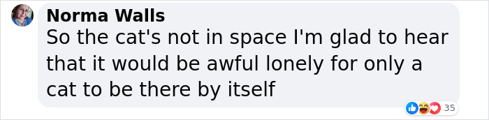 NASA Employee's Cat Stars In First Clip Transmitted To Earth By Laser 19 Million Miles Away