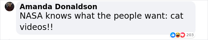 NASA Employee's Cat Stars In First Clip Transmitted To Earth By Laser 19 Million Miles Away