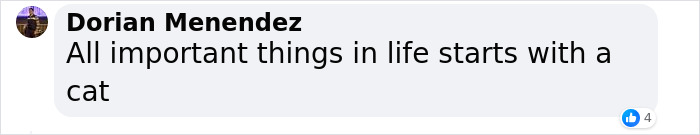 NASA Employee's Cat Stars In First Clip Transmitted To Earth By Laser 19 Million Miles Away