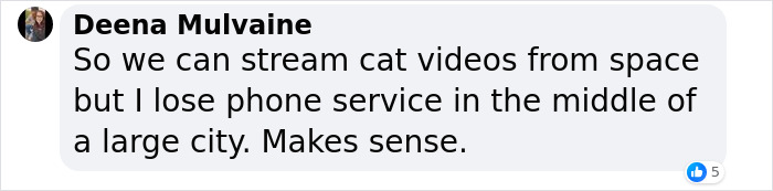 NASA Employee's Cat Stars In First Clip Transmitted To Earth By Laser 19 Million Miles Away