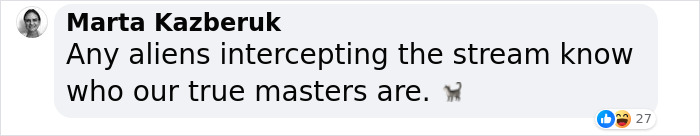 NASA Employee's Cat Stars In First Clip Transmitted To Earth By Laser 19 Million Miles Away