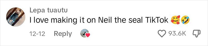 Niel The Seal Terrorizes Tiny Tasmanian Town And The Internet Adores Him Niel The Seal Terrorizes Tiny Tasmanian Town And The Internet Adores Him