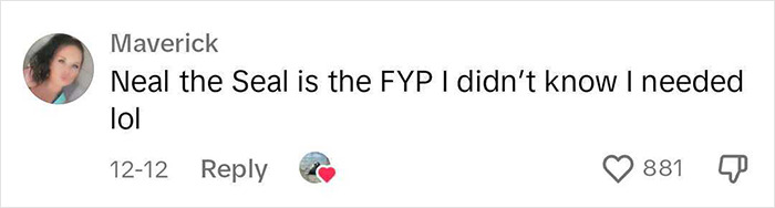 Niel The Seal Terrorizes Tiny Tasmanian Town And The Internet Adores Him Niel The Seal Terrorizes Tiny Tasmanian Town And The Internet Adores Him