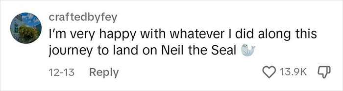 Niel The Seal Terrorizes Tiny Tasmanian Town And The Internet Adores Him Niel The Seal Terrorizes Tiny Tasmanian Town And The Internet Adores Him