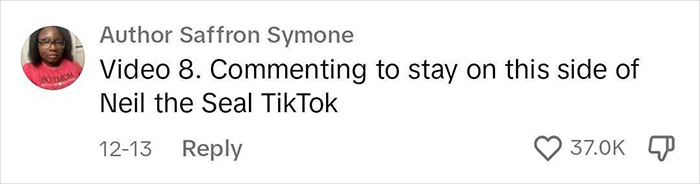 Niel The Seal Terrorizes Tiny Tasmanian Town And The Internet Adores Him Niel The Seal Terrorizes Tiny Tasmanian Town And The Internet Adores Him