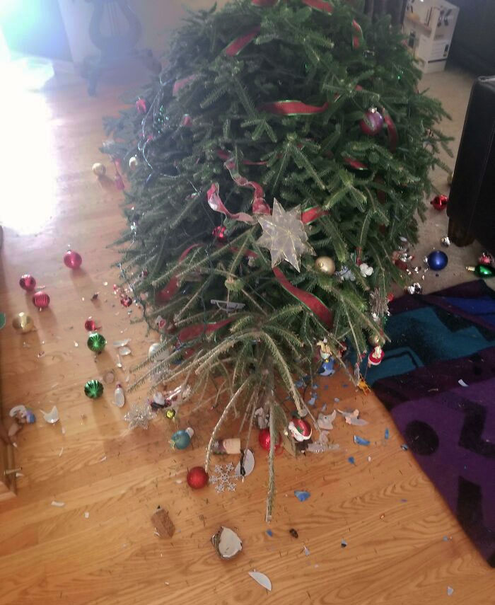 Happy New Year Everyone